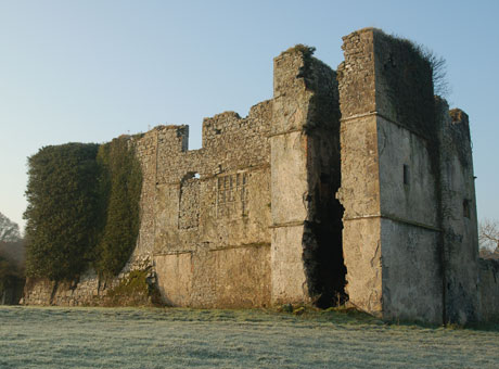 Rathcline Castle, Lanesborough