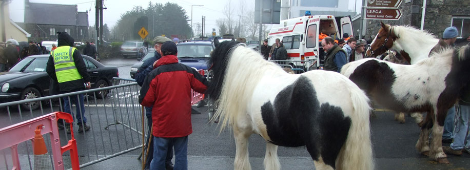 Lanesborough Horse Fair
