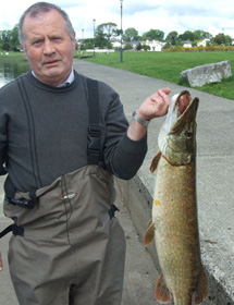 Large pike caught in the Rivier Shannon at Lanesborough