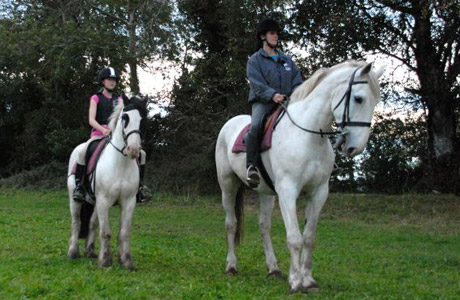 Horse Riding at Mount Cashel