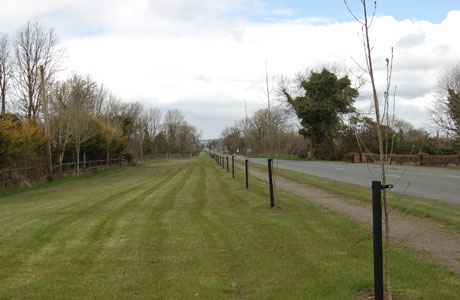 Ballymahon Road Trees Planted