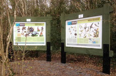 Woodland Walk Wildlife Boards